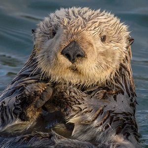 Meet your Posher, Elaina